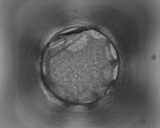 X0000116490058201001061150