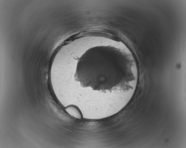 X0000116490059201001061150