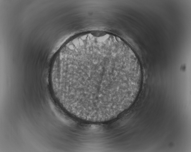 X0000116490060201001061150