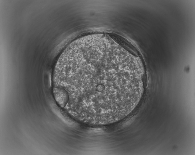 X0000116490061201001061150