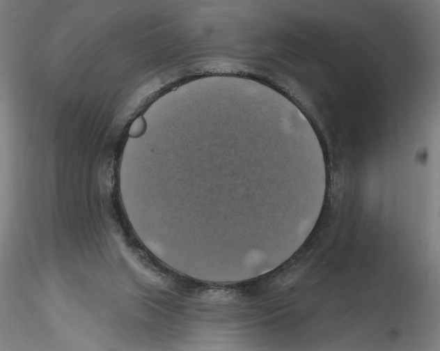 X0000116490063201001061150