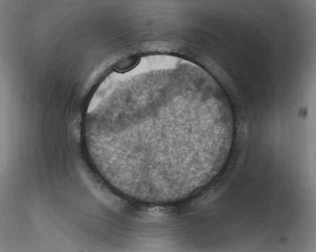 X0000116490064201001061150