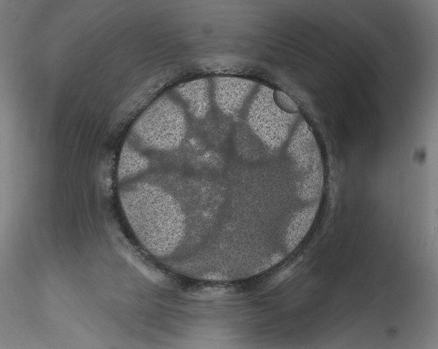 X0000116490065201001061150