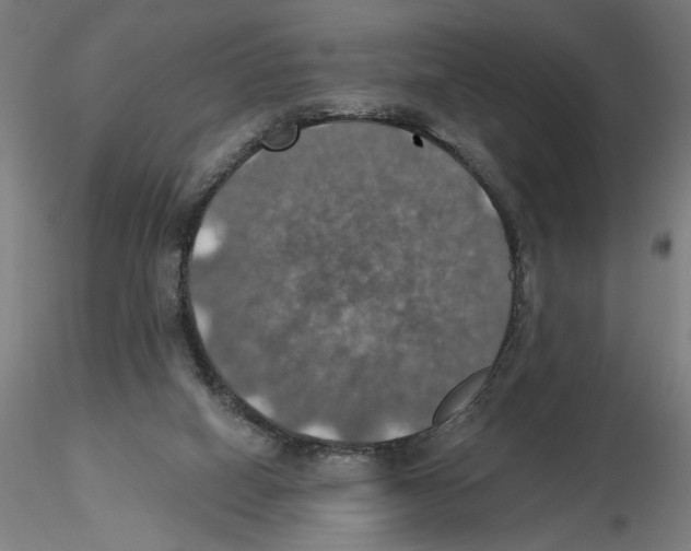 X0000116490066201001061150