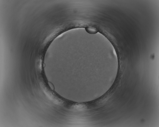 X0000116490067201001061150