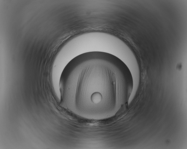 X0000116490068201001061150