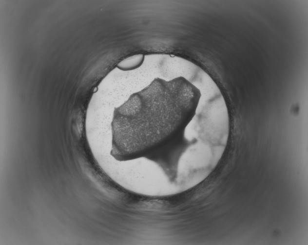 X0000116490069201001061150