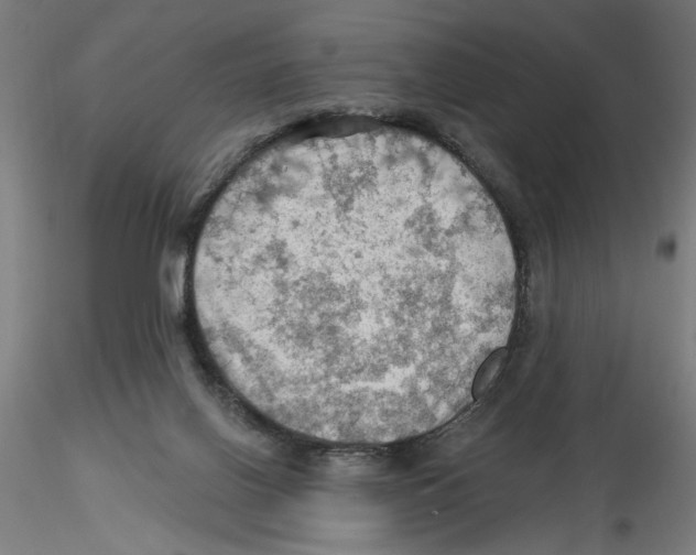 X0000116490070201001061150