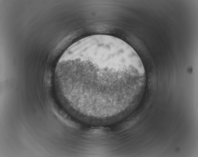 X0000116490072201001061150