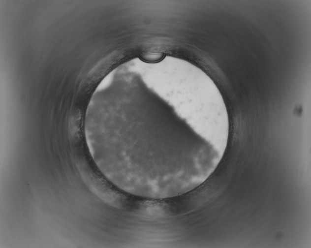 X0000116490073201001061150