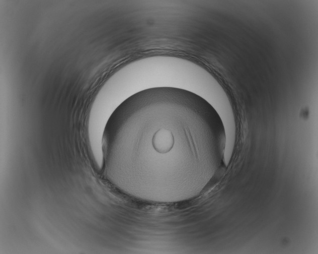 X0000116490074201001061150