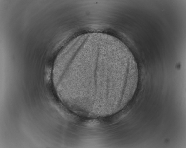 X0000116490075201001061150