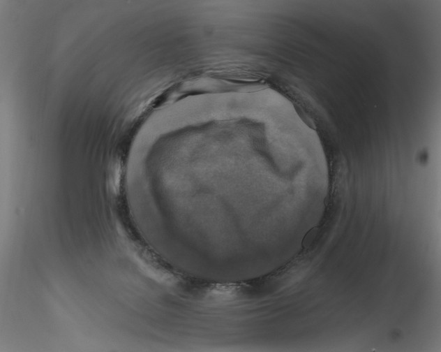 X0000116490076201001061150