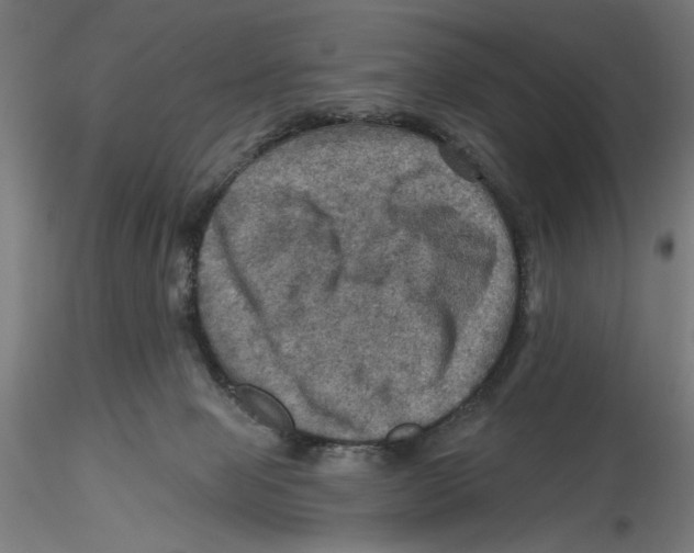 X0000116490077201001061150