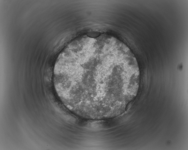 X0000116490078201001061150