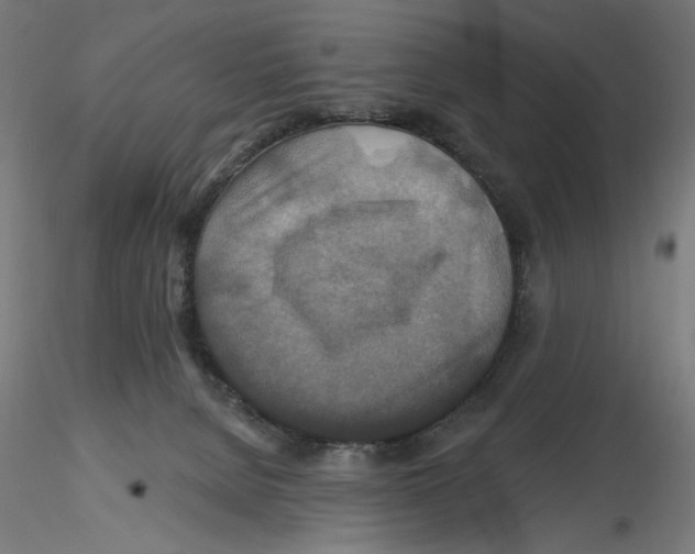 X0000116490080201001061150