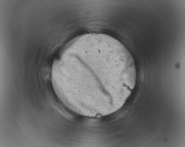 X0000116490081201001061150