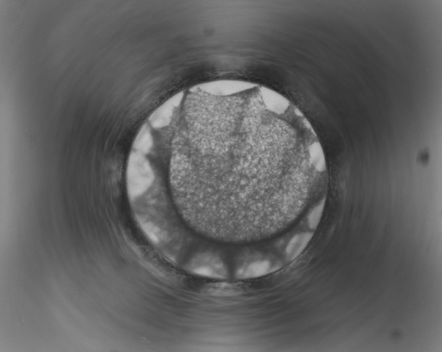 X0000116490082201001061150