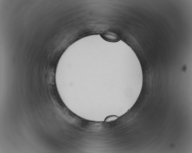 X0000116490083201001061150