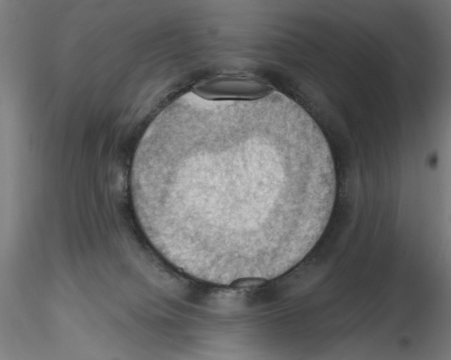 X0000116490084201001061150