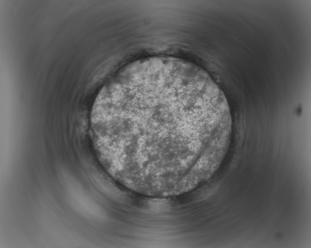 X0000116490085201001061150