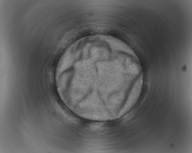 X0000116490086201001061150