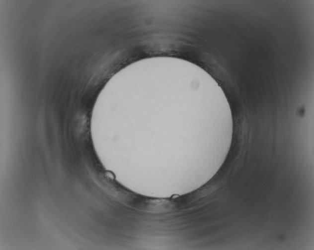 X0000116490087201001061150