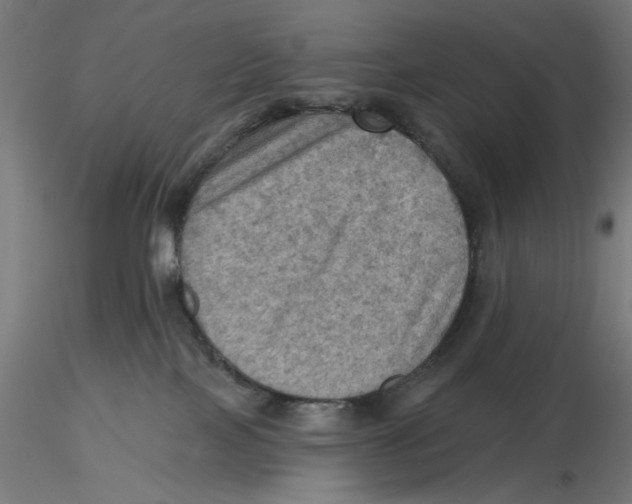 X0000116490089201001061150