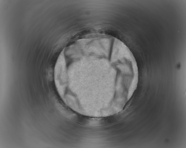 X0000116490090201001061150