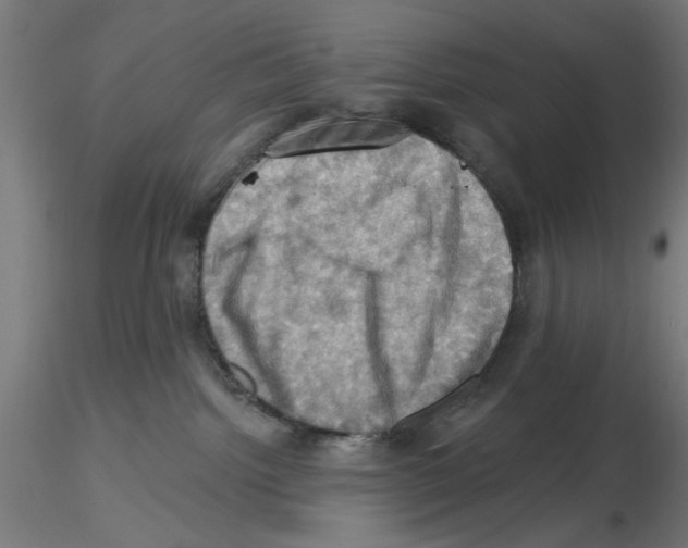 X0000116490092201001061150