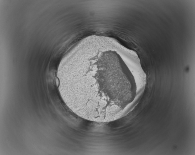 X0000116490093201001061150