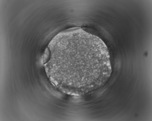 X0000116490095201001061150