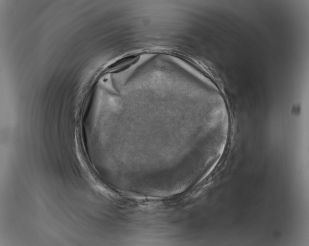 X0000116490097201001061149