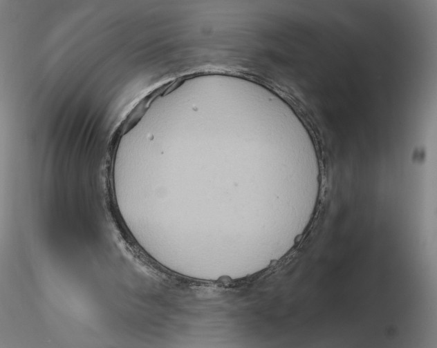 X0000116490098201001061149