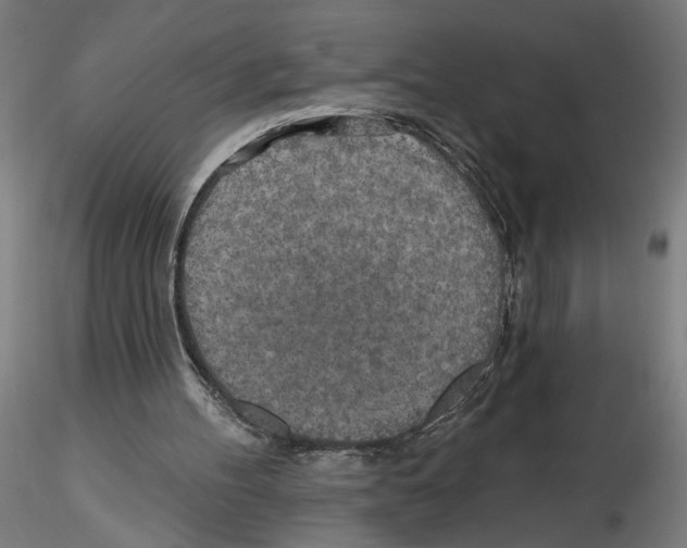 X0000116490100201001061149