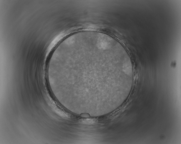 X0000116490102201001061149