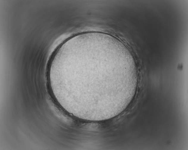 X0000116490104201001061149