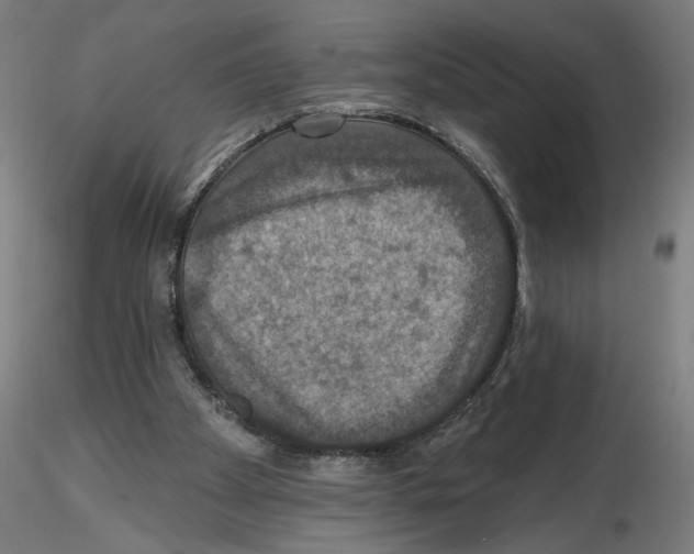 X0000116490105201001061149