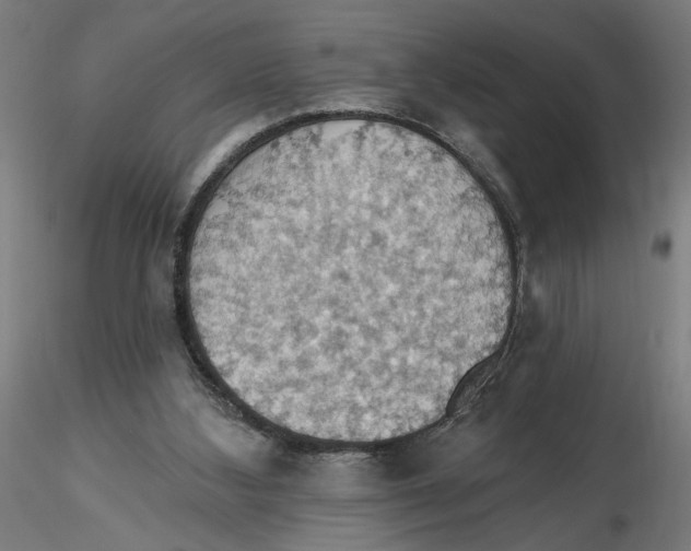 X0000116490108201001061149