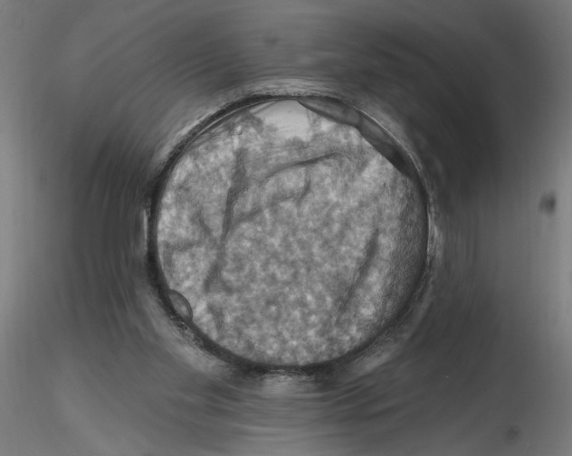 X0000116490109201001061149