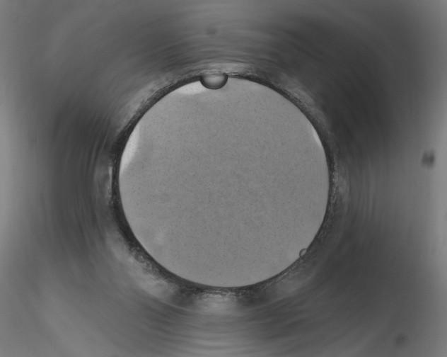 X0000116490110201001061149