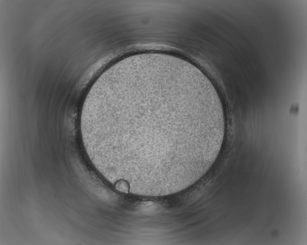 X0000116490111201001061149