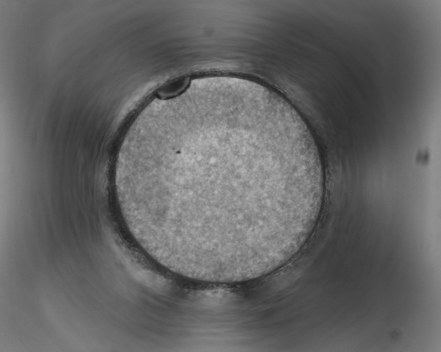 X0000116490112201001061149