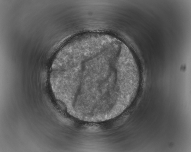 X0000116490113201001061149