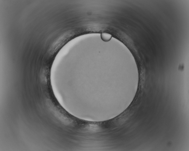 X0000116490114201001061149