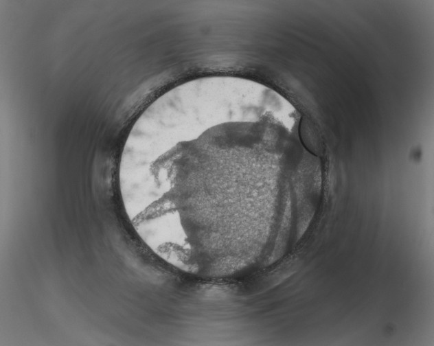 X0000116490115201001061149