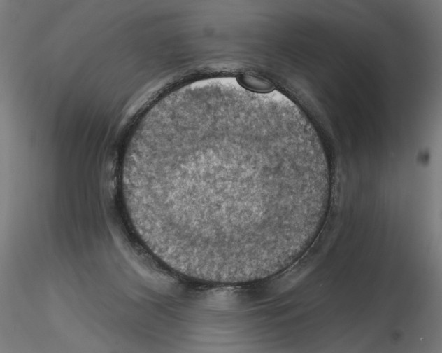 X0000116490116201001061149