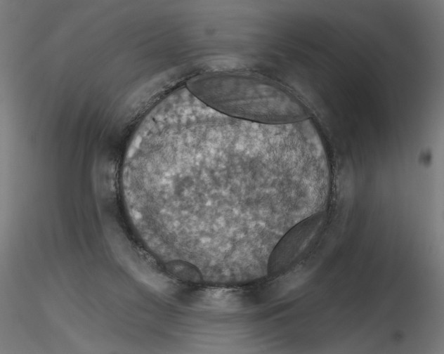 X0000116490117201001061149