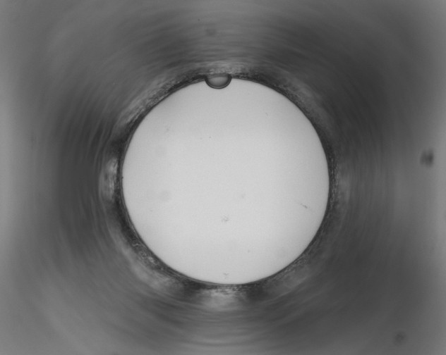 X0000116490118201001061149