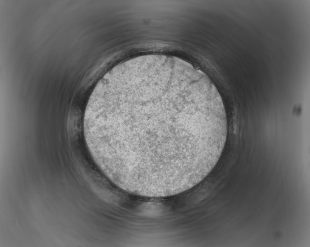 X0000116490119201001061149